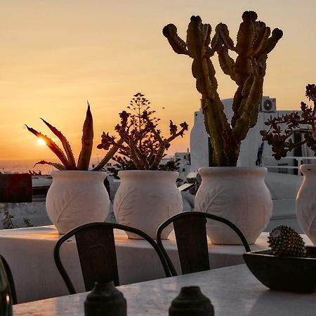 Elaia Luxury Suites Mykonos Mykonos Town المظهر الخارجي الصورة