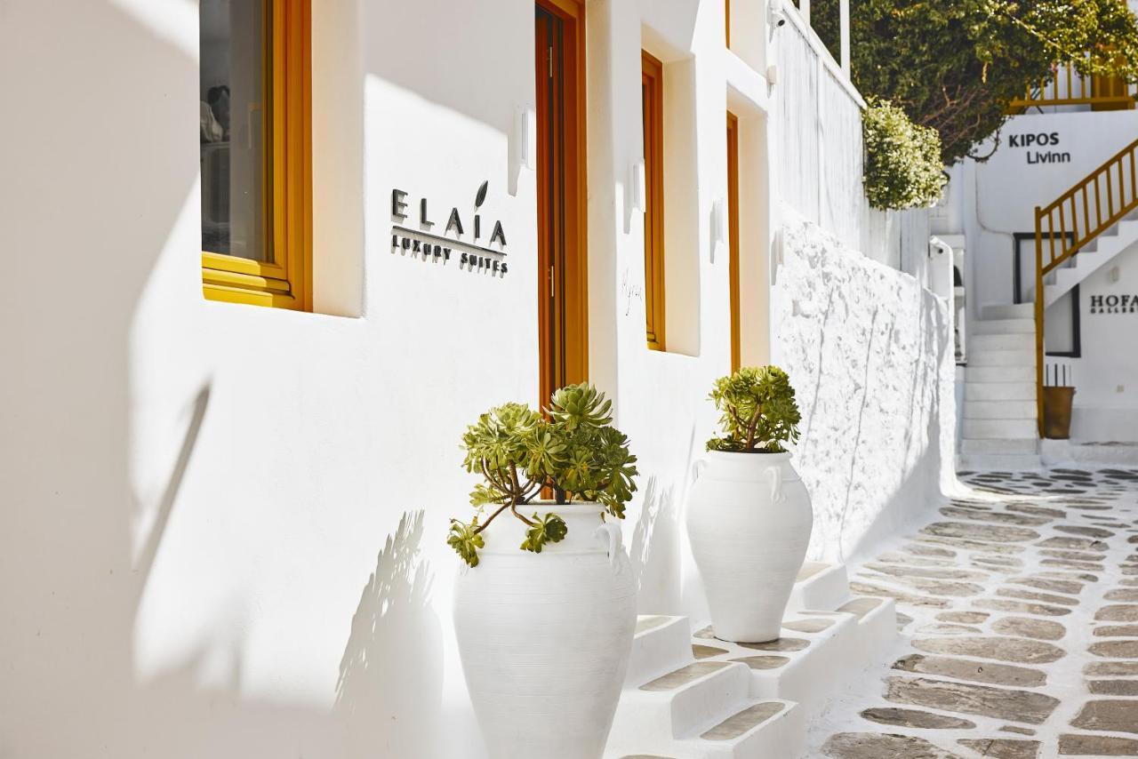 Elaia Luxury Suites Mykonos Mykonos Town المظهر الخارجي الصورة