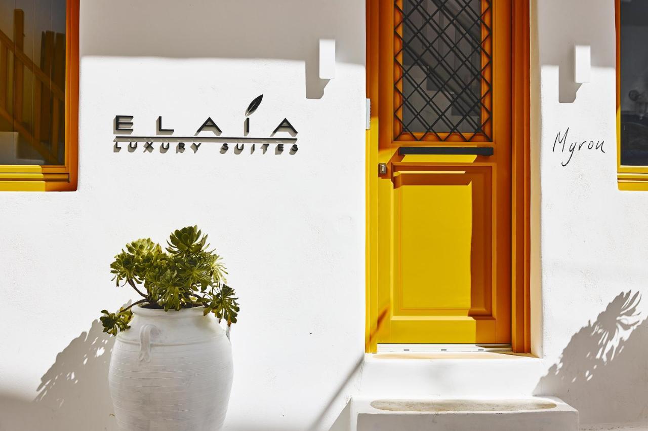 Elaia Luxury Suites Mykonos Mykonos Town المظهر الخارجي الصورة