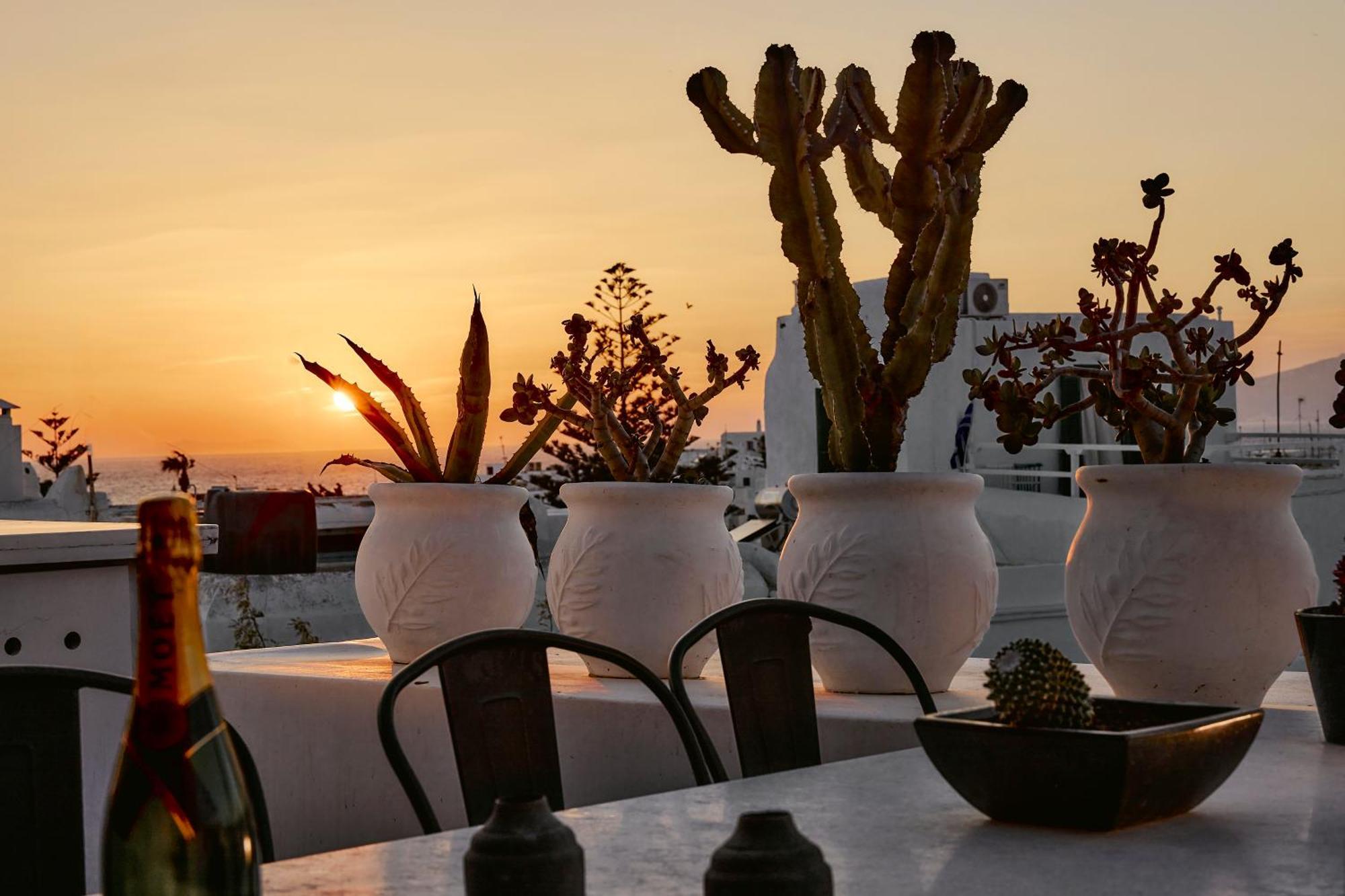 Elaia Luxury Suites Mykonos Mykonos Town المظهر الخارجي الصورة